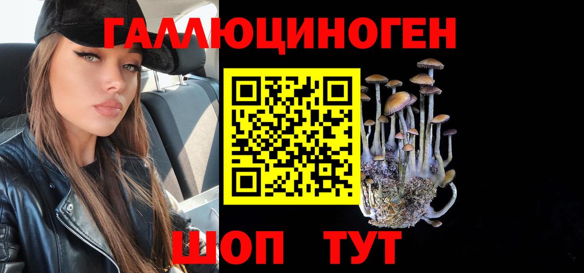 Галлюциногенные грибы мицелий  купить наркотик  Псилоцибиновые грибы GOLDEN TEACHER  Партизанск  Вход с VPN 